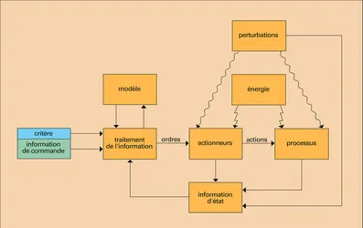 Processus d'action : structure - crédits : Encyclopædia Universalis France