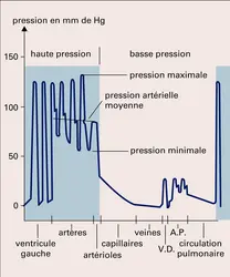 Variation des pressions - crédits : Encyclopædia Universalis France
