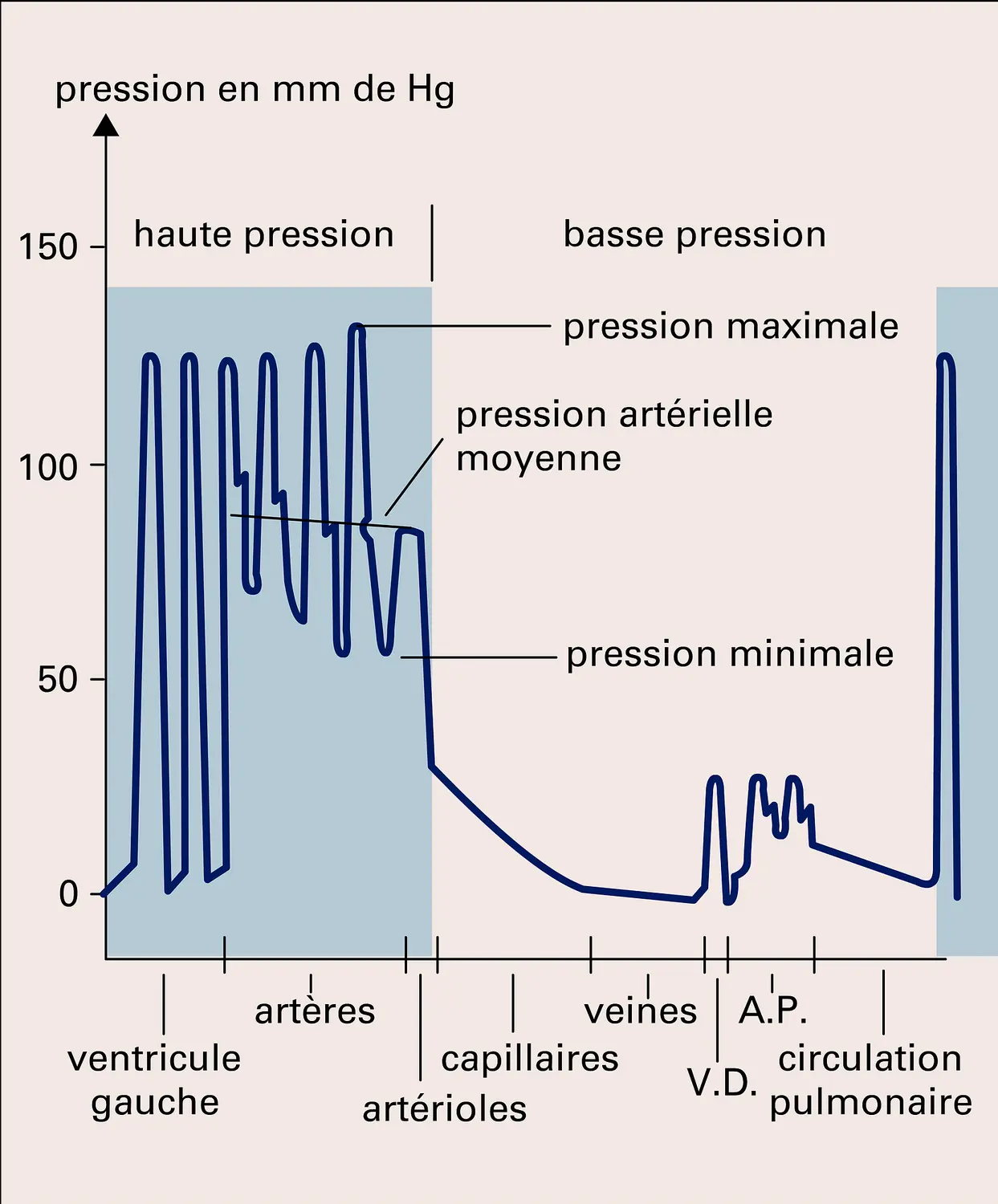 Variation des pressions