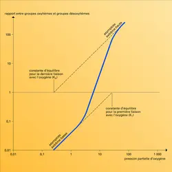 Pression de l'oxygène - crédits : Encyclopædia Universalis France