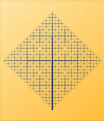 Drainage : simulation d'un réseau par un objet fractal - crédits : Encyclopædia Universalis France