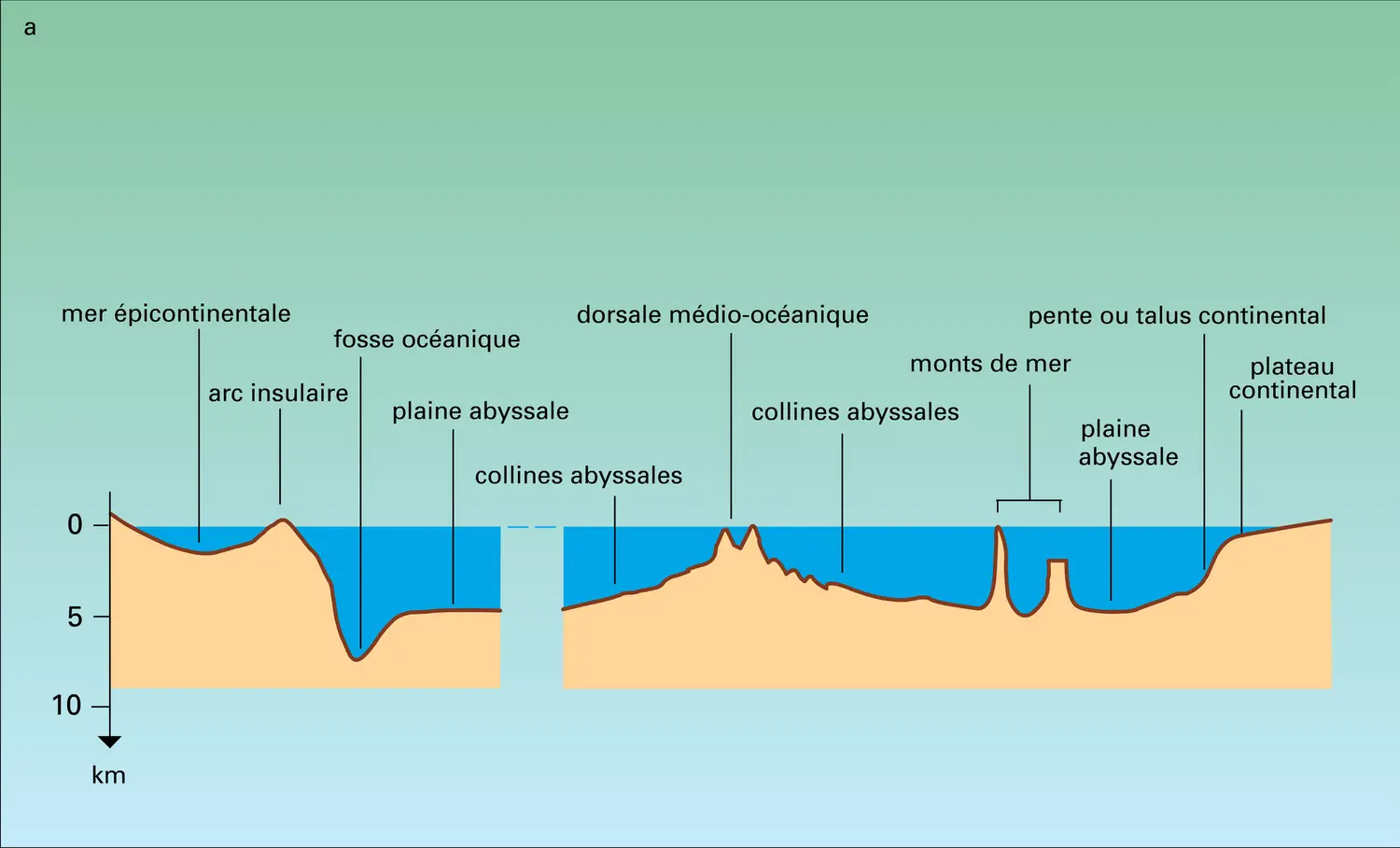 Fonds sous-marins - vue 1