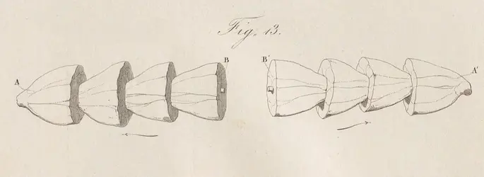 Carlo Matteucci et l’électricité animale - crédits : BnF, département Sciences et techniques, cote : S-31100, p. 388