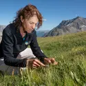 Sandra Lavorel - crédits : Hubert Raguet/ LECA/ CNRS Images