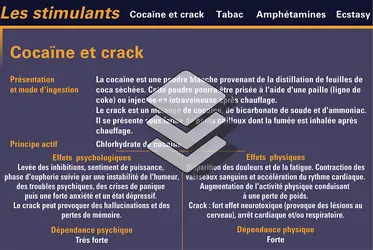 Principaux stimulants et leurs effets - crédits : Encyclopædia Universalis France