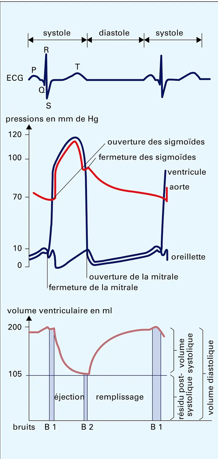 Pressions et volume ventriculaires gauches