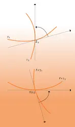 Conservation des angles - crédits : Encyclopædia Universalis France