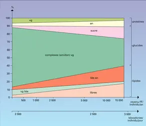 État nutritionnel et conditions socio-économiques - crédits : Encyclopædia Universalis France