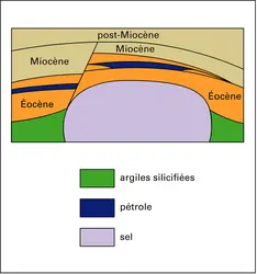 Gisement d'Ozouri, Gabon - crédits : Encyclopædia Universalis France