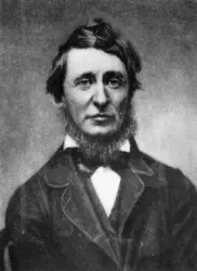 Henry David Thoreau - crédits : Hulton Archive/ Getty Images