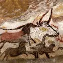 Aurochs et chevaux, Lascaux - crédits : Fine Art Images/ Heritage Images/ Getty Images