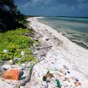 Plage polluée - crédits : Kevin Schafer/ The Image Bank/ Getty Images