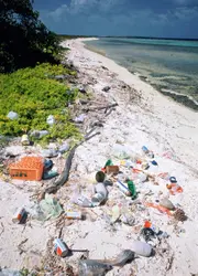 Plage polluée - crédits : Kevin Schafer/ The Image Bank/ Getty Images