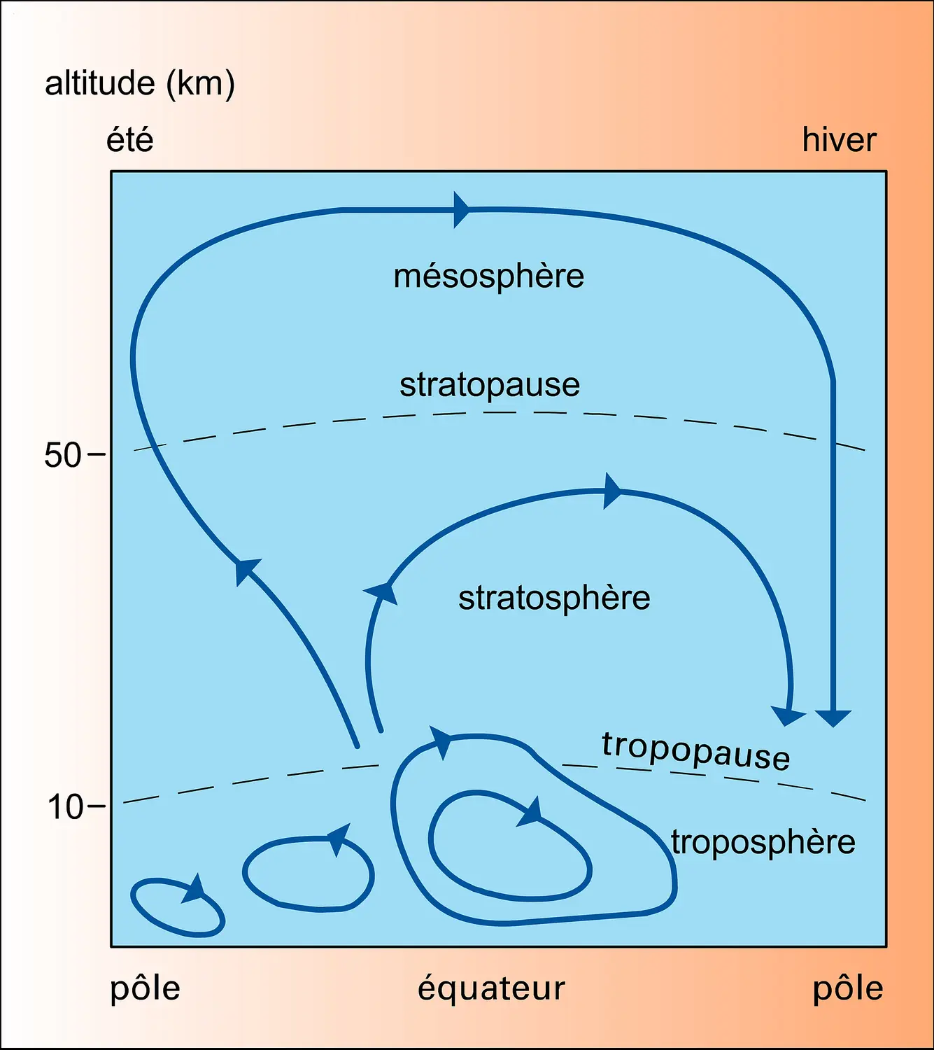 Circulation stratosphérique