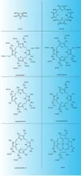 Structures chimiques principales - crédits : Encyclopædia Universalis France
