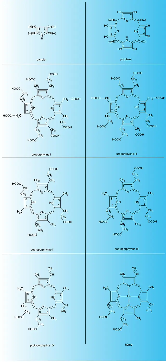 Structures chimiques principales