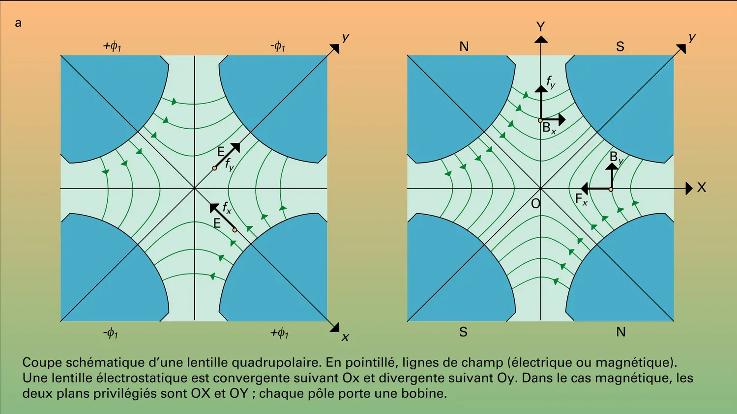 Lentilles quadrupolaires - vue 1