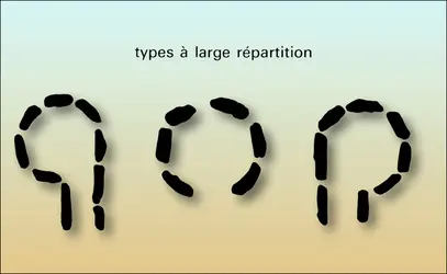 Types à large répartition, sépultures mégalithiques - crédits : Encyclopædia Universalis France