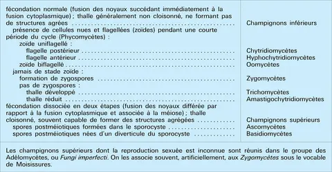 Grands groupes - crédits : Encyclopædia Universalis France