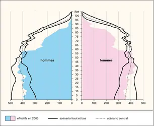 France: pyramide des âges, projections pour 2050 - crédits : Encyclopædia Universalis France
