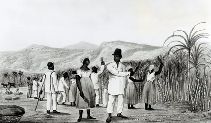 Esclaves dans une plantation de canne à sucre - crédits :  Bridgeman Images 