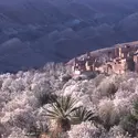 Amandiers dans le Haut-Atlas, Maroc - crédits : Jean-Denis Joubert/ Gamma-Rapho/ Getty Images