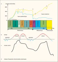 Évolution de la biosphère et de la géosphère au cours des temps géologiques - crédits : Encyclopædia Universalis France