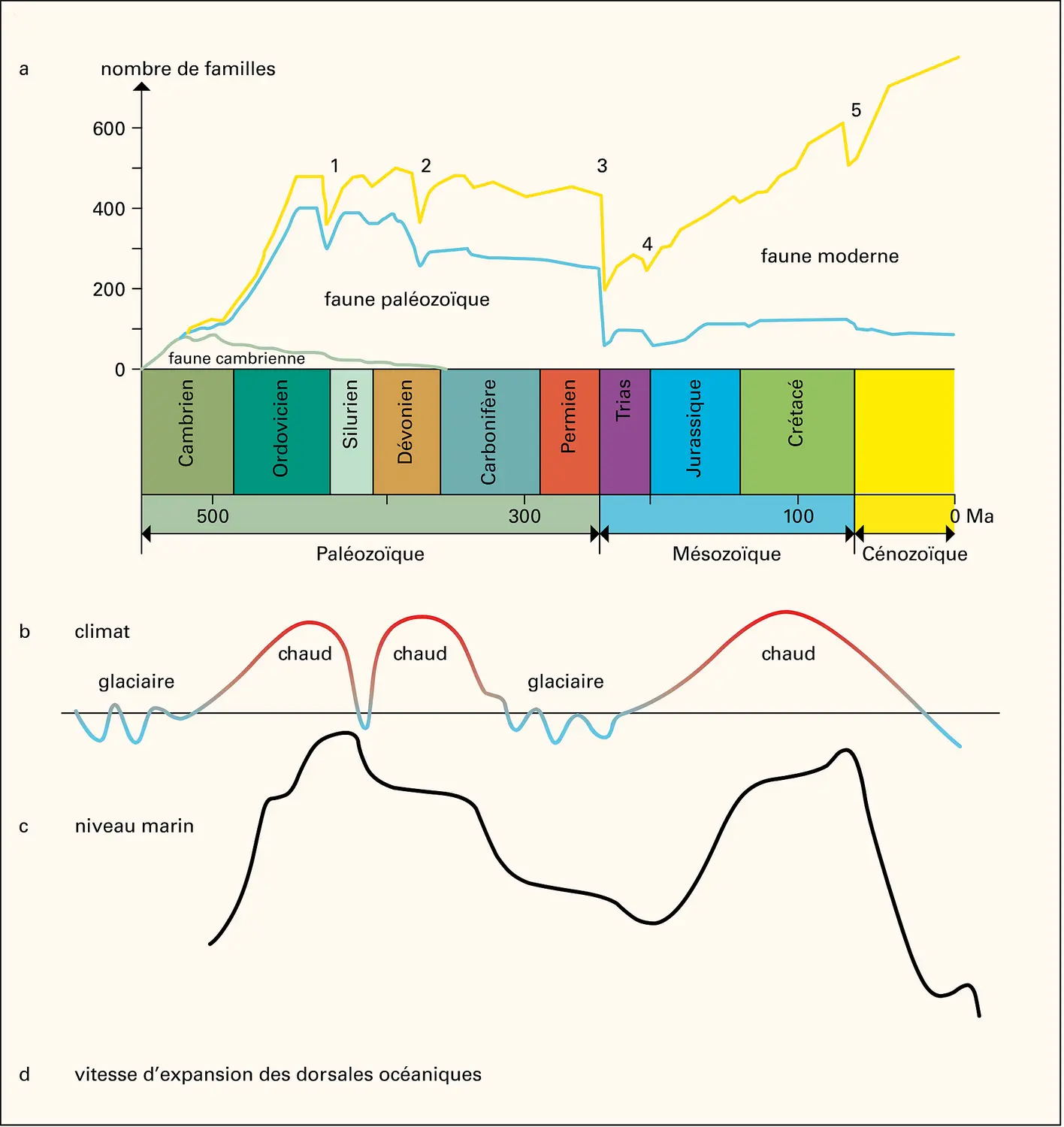 Évolution de la biosphère et de la géosphère au cours des temps géologiques