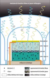 Principe de fonctionnement d’une lampe à LED - crédits : Encyclopædia Universalis France