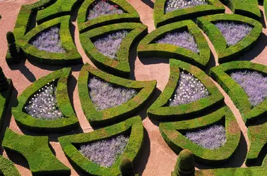 Château de Villandry, jardins - crédits : Bruno Barbier/ The Image Bank/ Getty Images