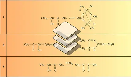 Réactions 4 à 11 - crédits : Encyclopædia Universalis France