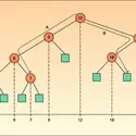 Arbre binaire - crédits : Encyclopædia Universalis France