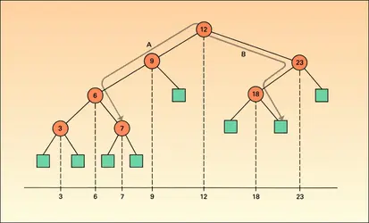 Arbre binaire - crédits : Encyclopædia Universalis France