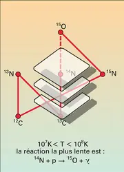 Cycles C.N.O. - crédits : Encyclopædia Universalis France