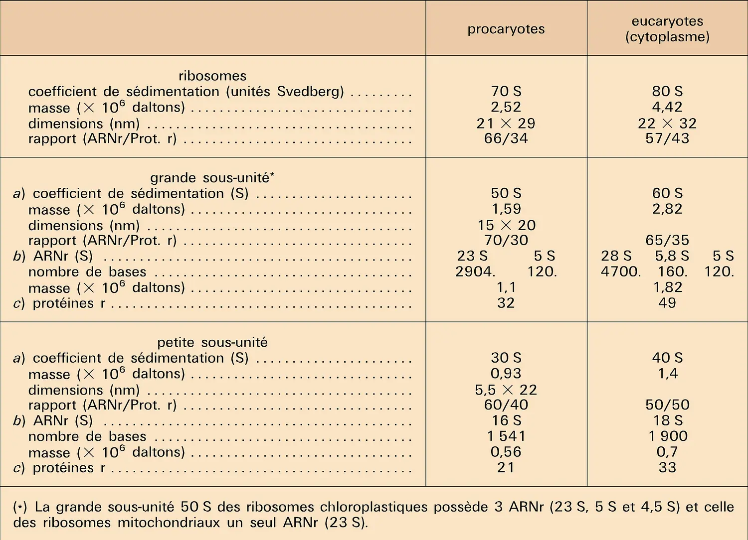 Procaryotes et eucaryotes