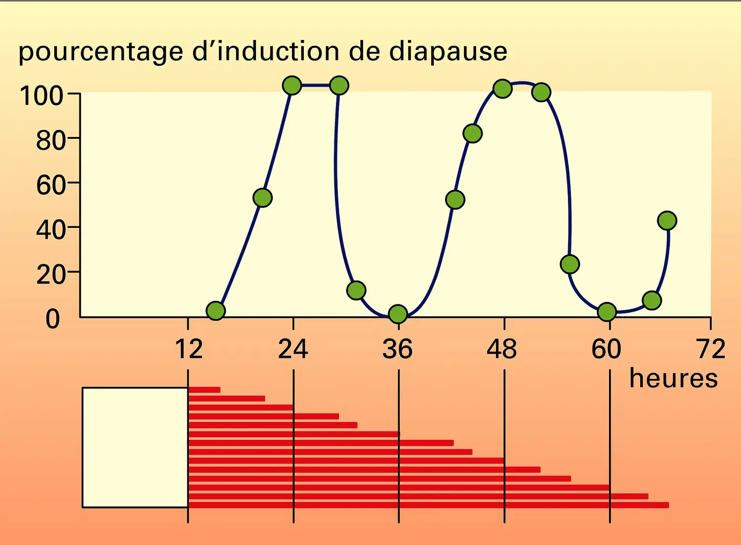 Rythme biologique : démonstration par la méthode de résonance