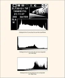 Photographie numérique : représentation des données d'une image sous forme graphique - crédits : Encyclopædia Universalis France