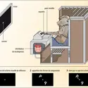 Psychologie animale : babouin et ordinateur - crédits : Encyclopædia Universalis France