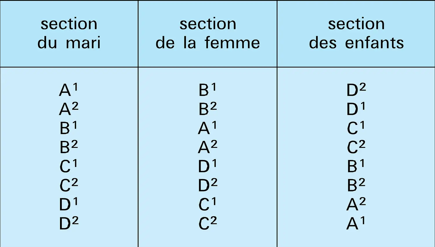 Organisation en section chez les Arandas