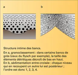 Bancs : structure intime - crédits : Encyclopædia Universalis France