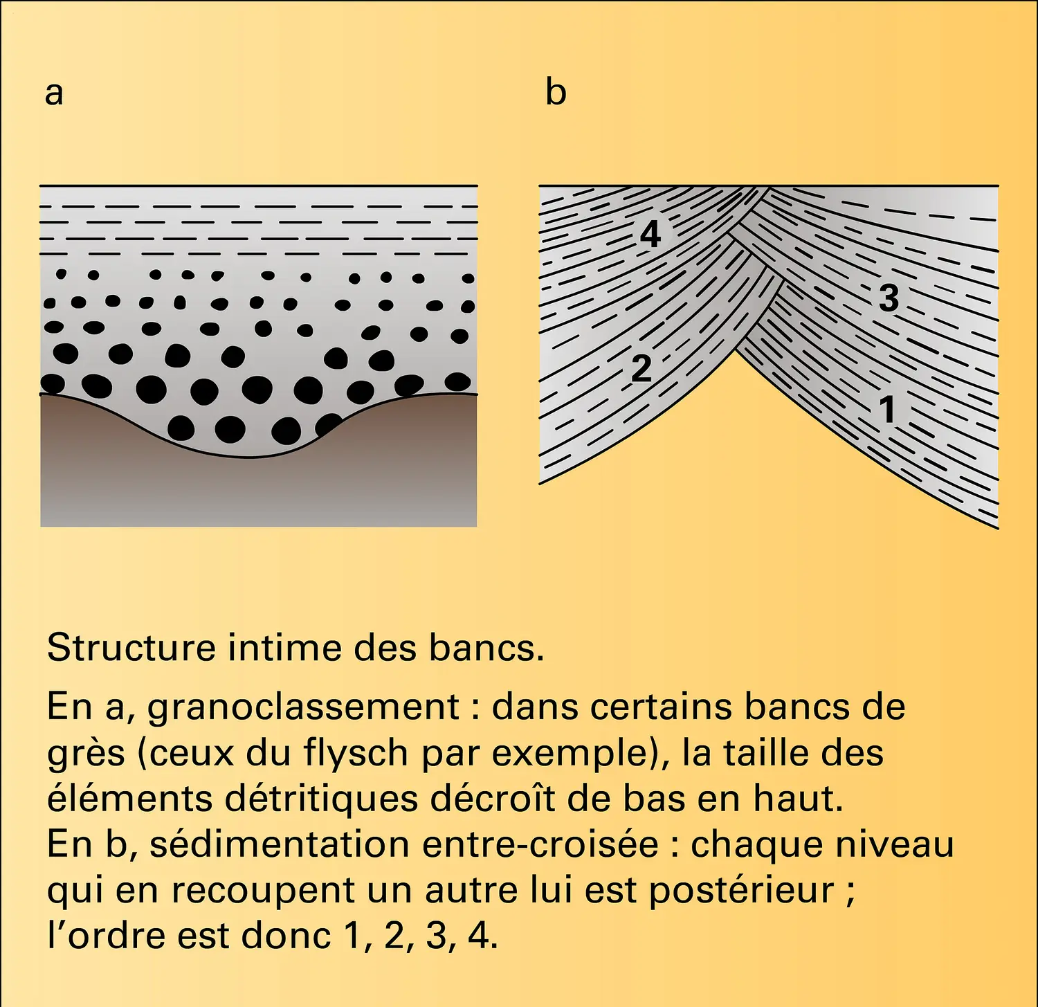 Bancs : structure intime