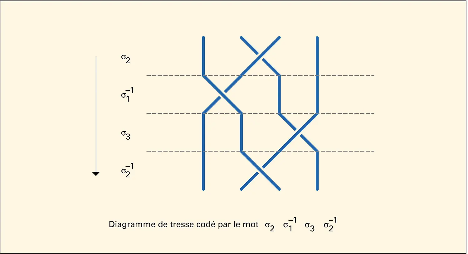 Codage d'un diagramme de tresse à n brins