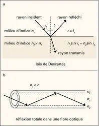 Réflexion et réfraction de la lumière - crédits : Encyclopædia Universalis France