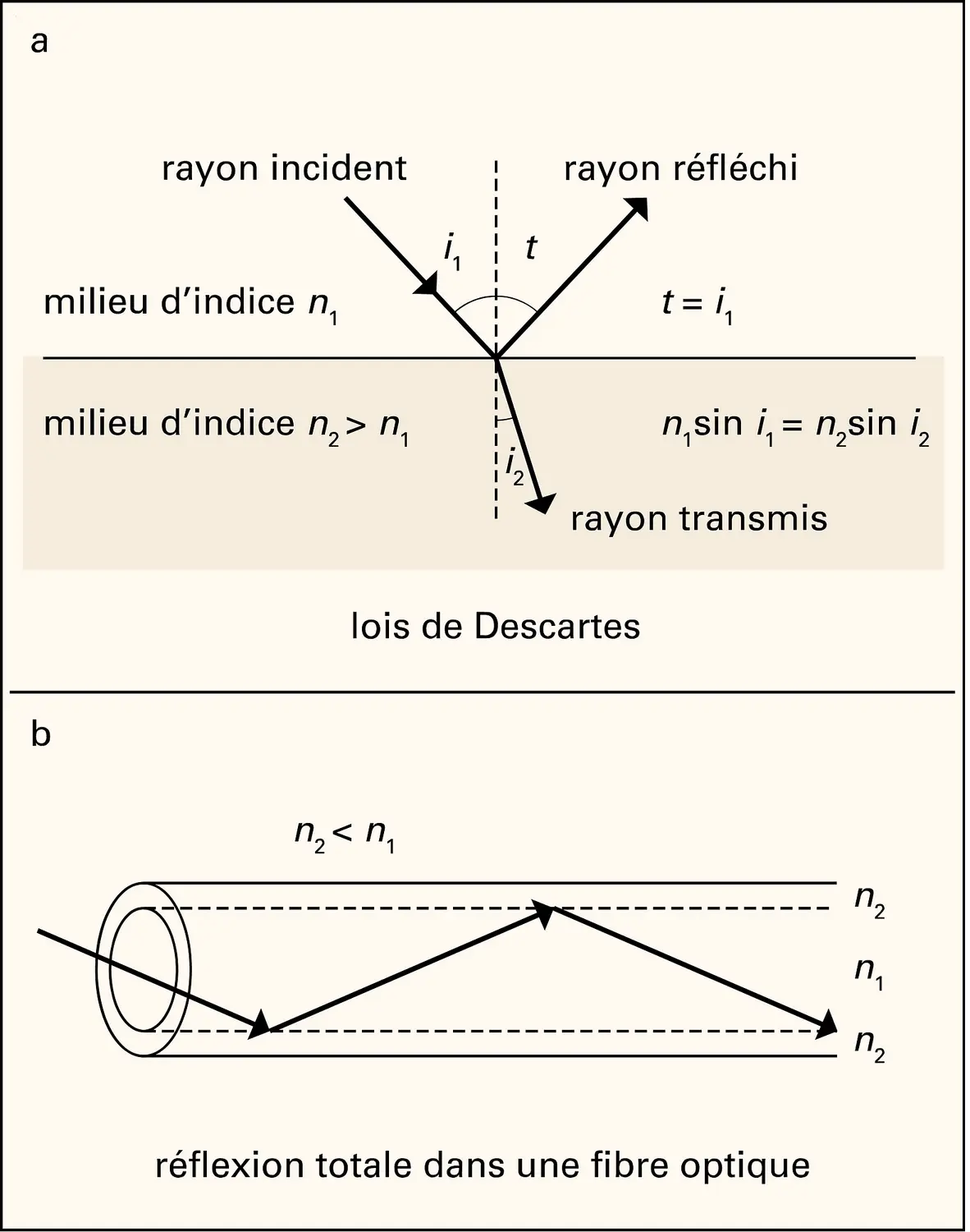 Réflexion et réfraction de la lumière