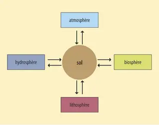 Le sol et ses interactions - crédits : Encyclopædia Universalis France