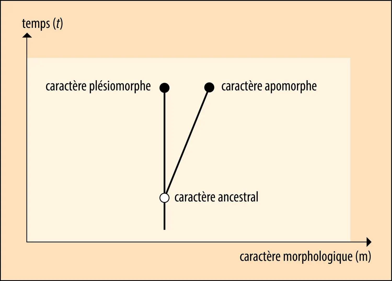 Diagramme de Hennig