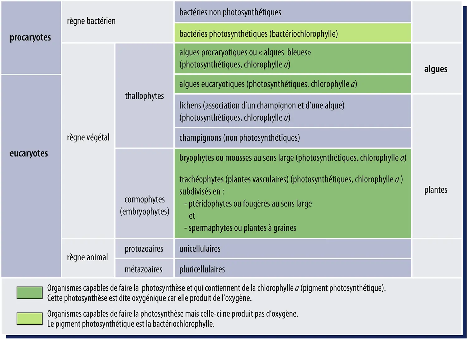 Ancienne classification du monde vivant en trois règnes