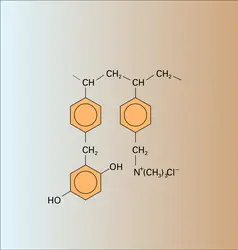 Hydroquinone et triméthylammonium - crédits : Encyclopædia Universalis France