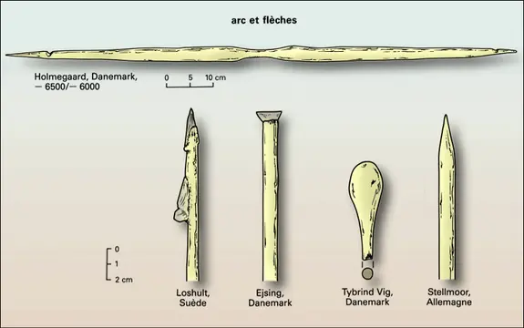 Arcs et flèches