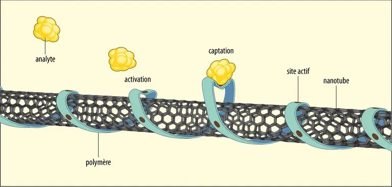 Principe d’un capteur à nanotube de carbone